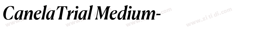 CanelaTrial Medium字体转换